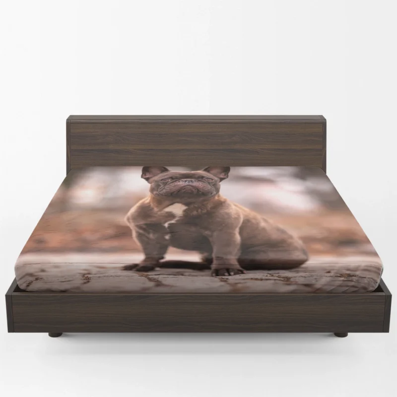 French Bulldog Magic: Spellbinding Moments Fitted Sheet 1