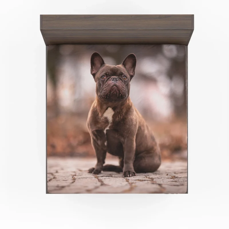 French Bulldog Magic: Spellbinding Moments Fitted Sheet