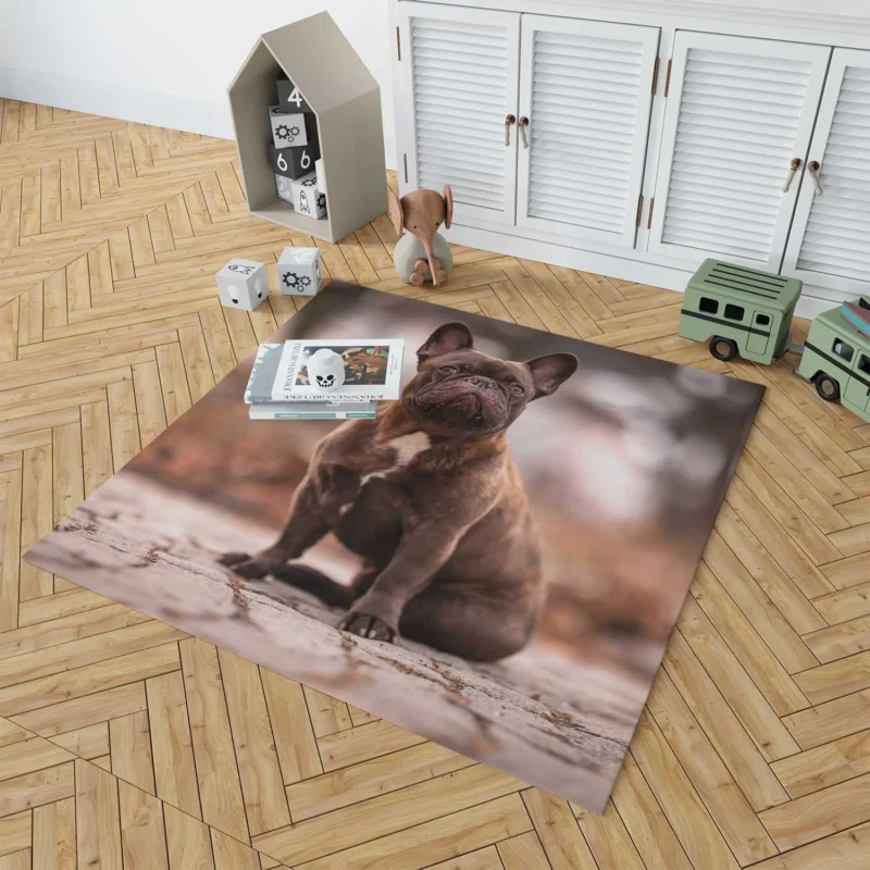 French Bulldog Magic: Spellbinding Moments Floor Rug 1