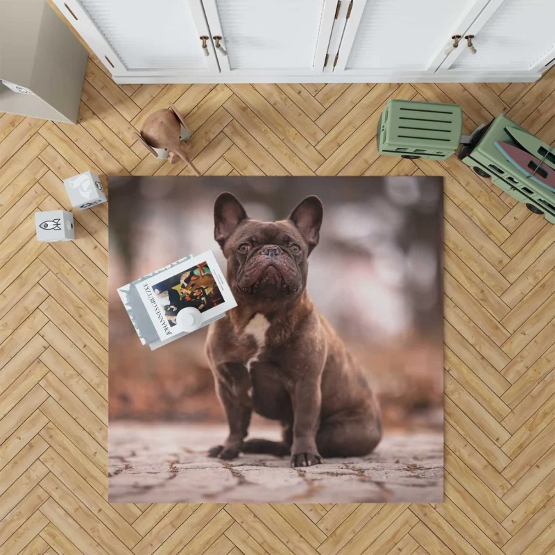 French Bulldog Magic: Spellbinding Moments Floor Rug