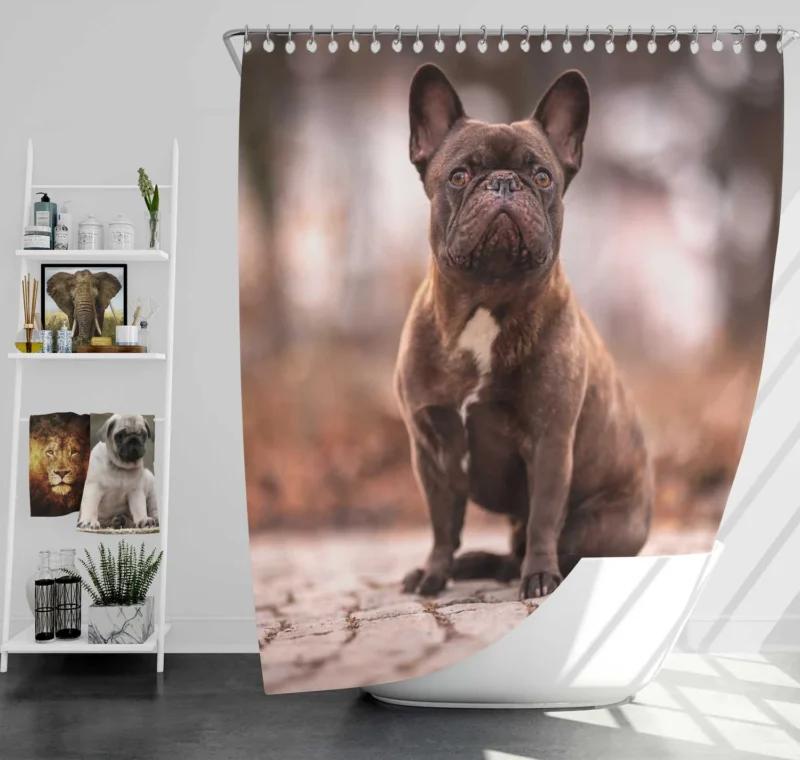 French Bulldog Magic: Spellbinding Moments Shower Curtain