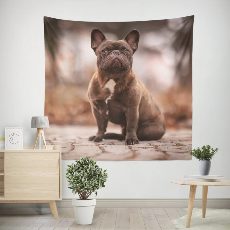 French Bulldog Magic  Spellbinding Moments Wall Tapestry