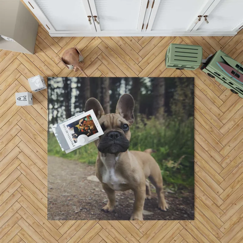 French Bulldog Path: Puppy Adventure in Nature Floor Rug