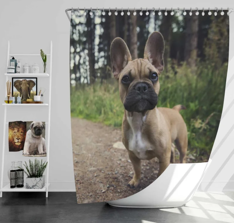 French Bulldog Path: Puppy Adventure in Nature Shower Curtain