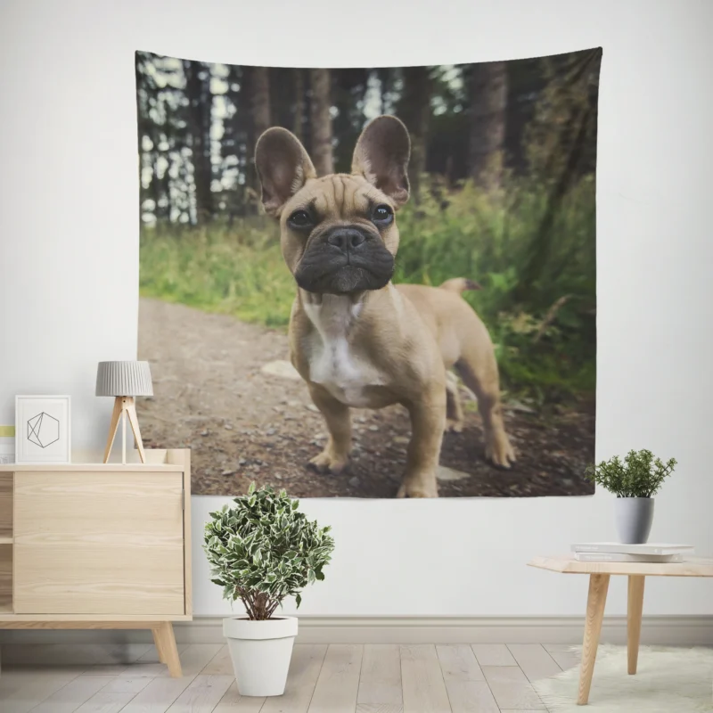 French Bulldog Path  Puppy Adventure in Nature Wall Tapestry