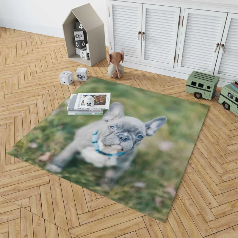 French Bulldog Playful Energy in Blur Floor Rug 1