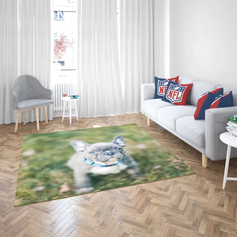 French Bulldog Playful Energy in Blur Floor Rug 2