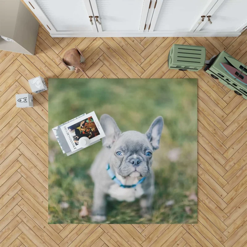 French Bulldog Playful Energy in Blur Floor Rug