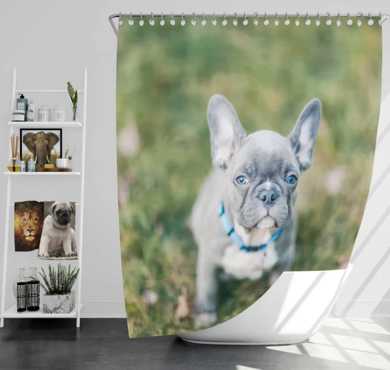 French Bulldog Playful Energy in Blur Shower Curtain