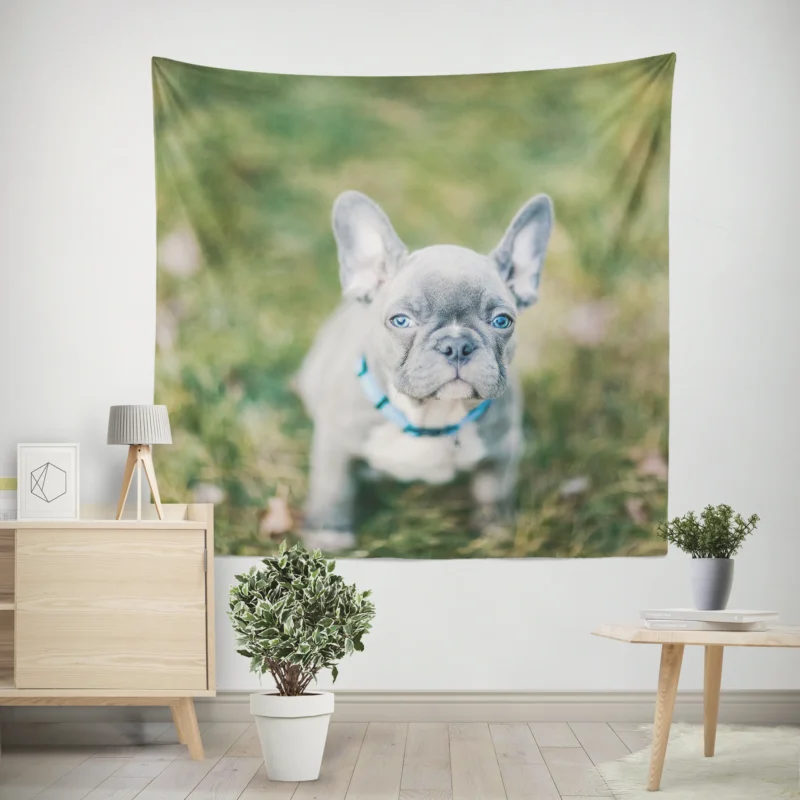 French Bulldog Playful Energy in Blur Wall Tapestry