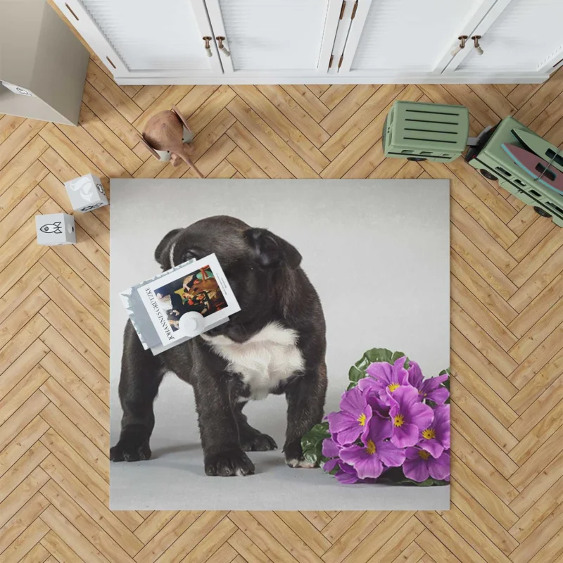 French Bulldog Pup: Innocence in Every Paw Floor Rug