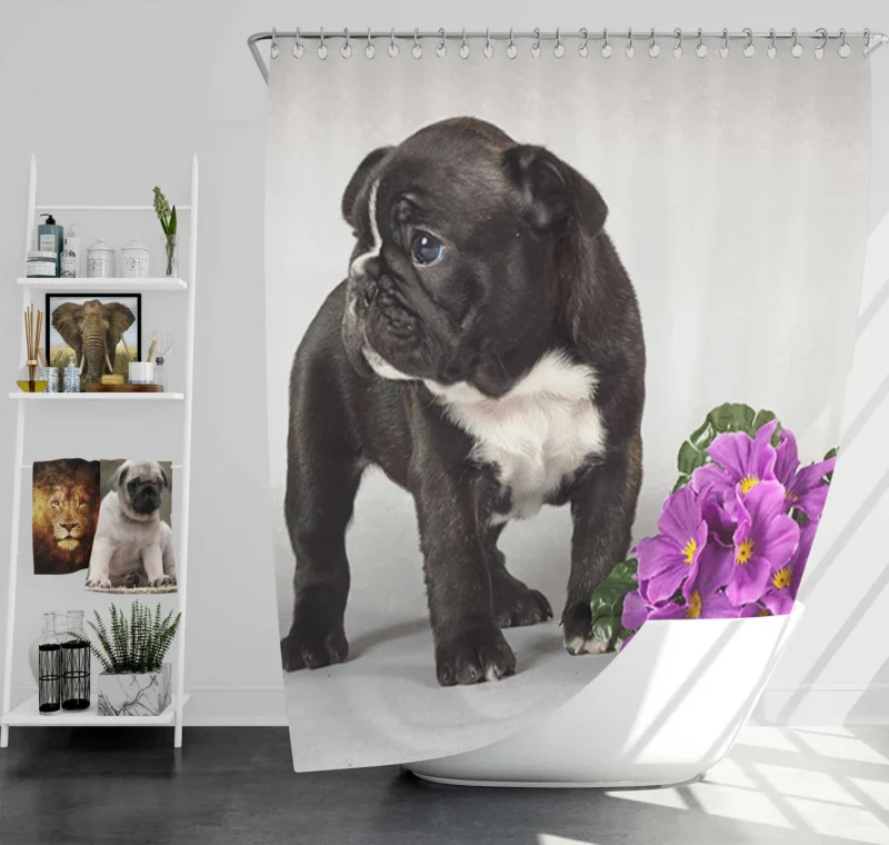 French Bulldog Pup: Innocence in Every Paw Shower Curtain