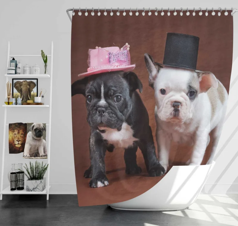 French Bulldog Puppies: Adorable Mr. and Mrs. Hats Shower Curtain