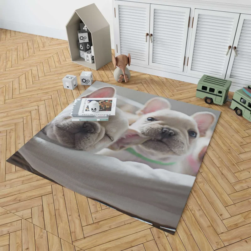 French Bulldog Puppy Ba: A Bundle of Joy Floor Rug 1