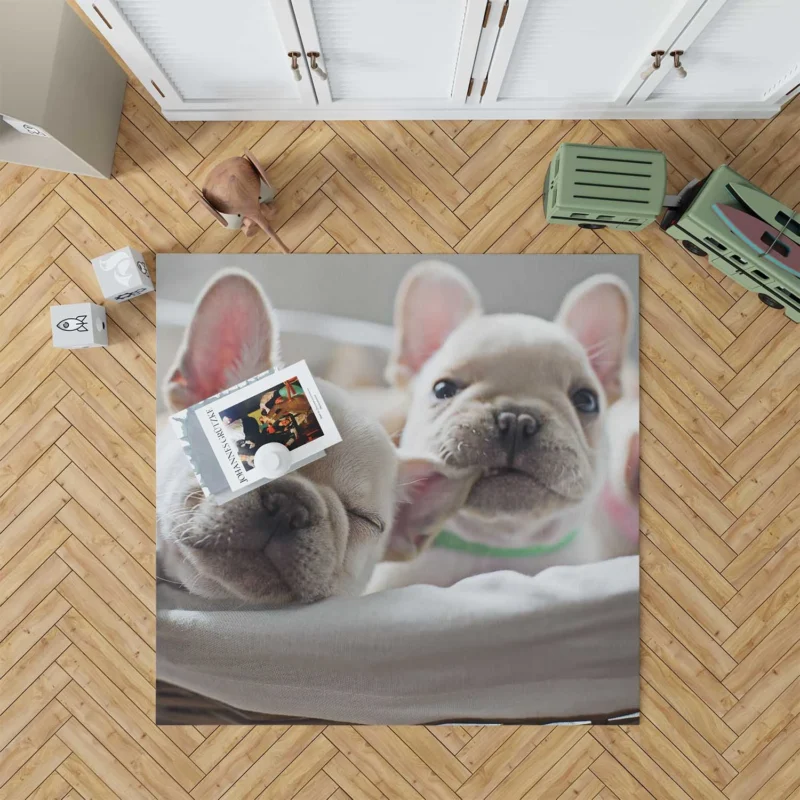 French Bulldog Puppy Ba: A Bundle of Joy Floor Rug