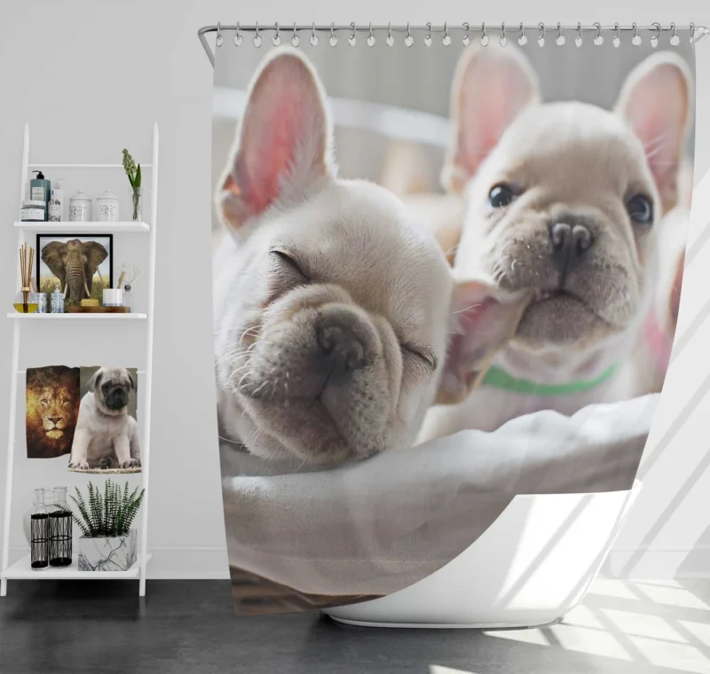 French Bulldog Puppy Ba: A Bundle of Joy Shower Curtain