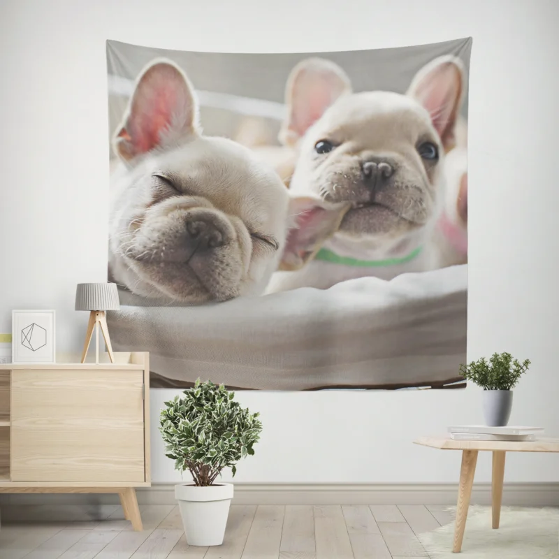 French Bulldog Puppy Ba  A Bundle of Joy Wall Tapestry