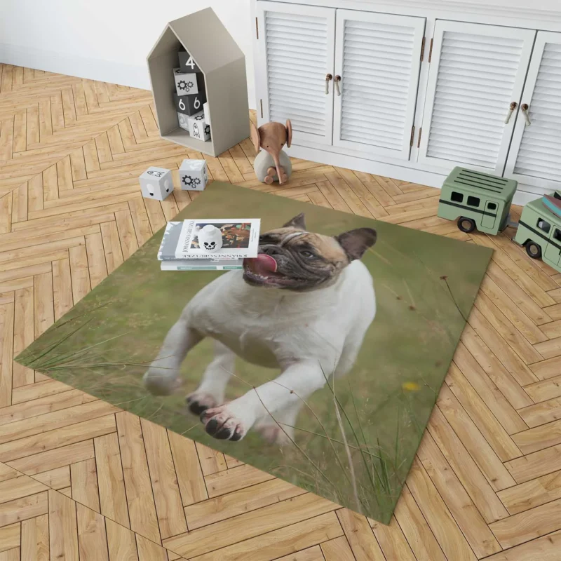 French Bulldog Purity: A Breed Apart Floor Rug 1