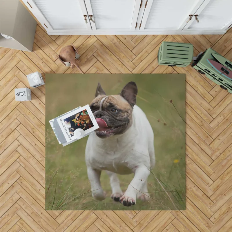 French Bulldog Purity: A Breed Apart Floor Rug