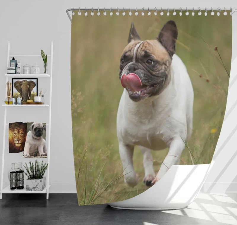 French Bulldog Purity: A Breed Apart Shower Curtain