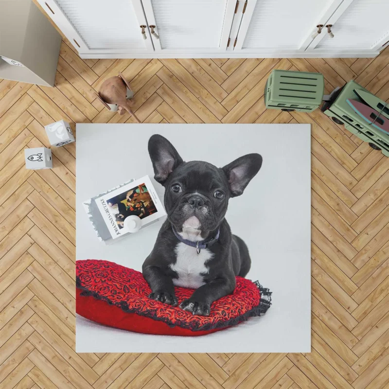 French Bulldog Rests: Cozy Comfort on a Cushion Floor Rug