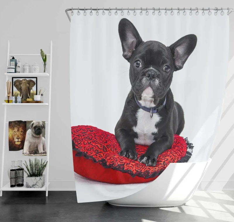 French Bulldog Rests: Cozy Comfort on a Cushion Shower Curtain