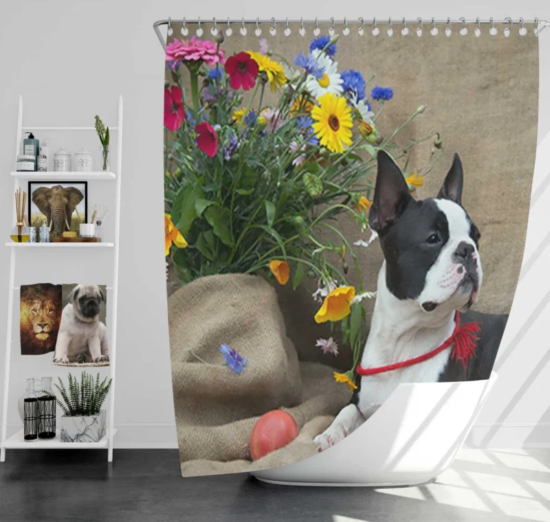 French Bulldog Secret: Whispering Elegance Shower Curtain