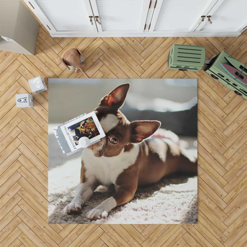 French Bulldog Splendor: Beauty Beyond Words Floor Rug