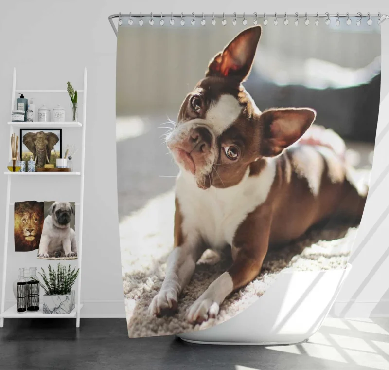 French Bulldog Splendor: Beauty Beyond Words Shower Curtain