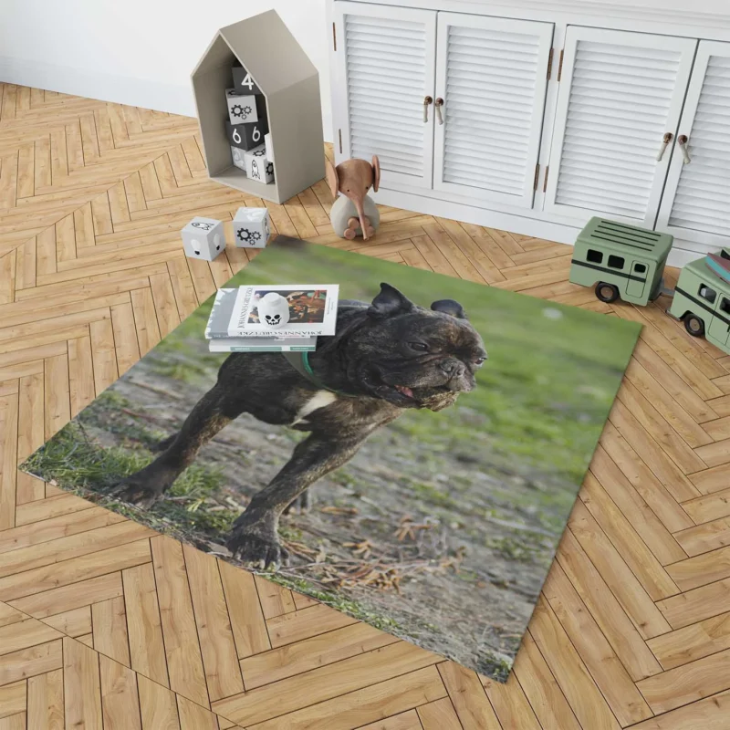 French Bulldog Unleashed: A Charismatic Companion Floor Rug 1