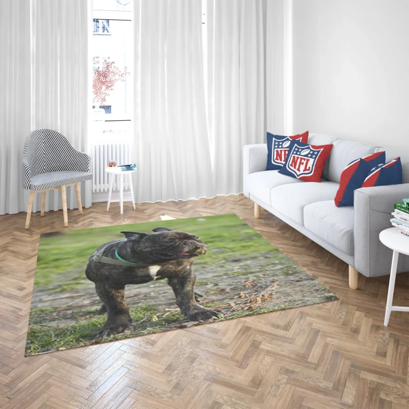 French Bulldog Unleashed: A Charismatic Companion Floor Rug 2