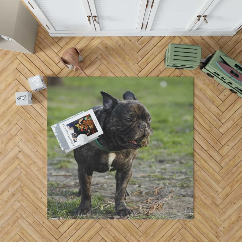 French Bulldog Unleashed: A Charismatic Companion Floor Rug