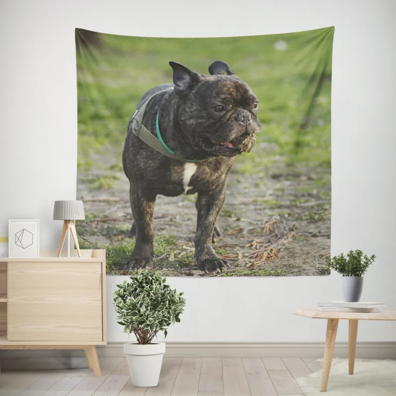 French Bulldog Unleashed  A Charismatic Companion Wall Tapestry