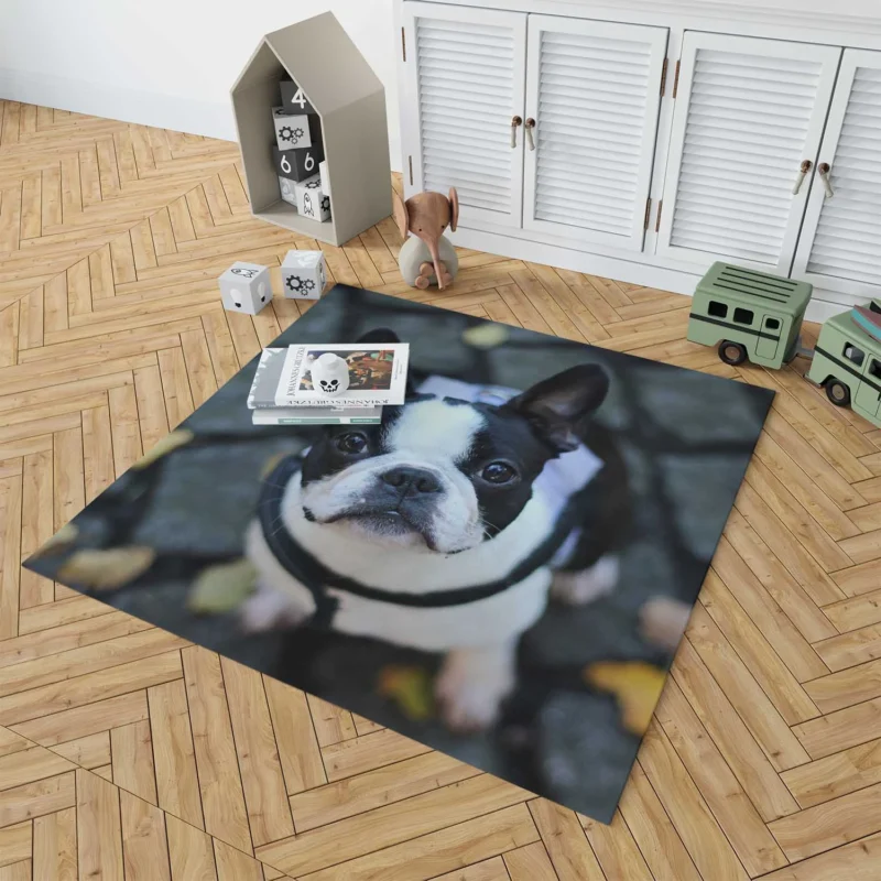 French Bulldog Wonders: Unveiling the Extraordinary Floor Rug 1