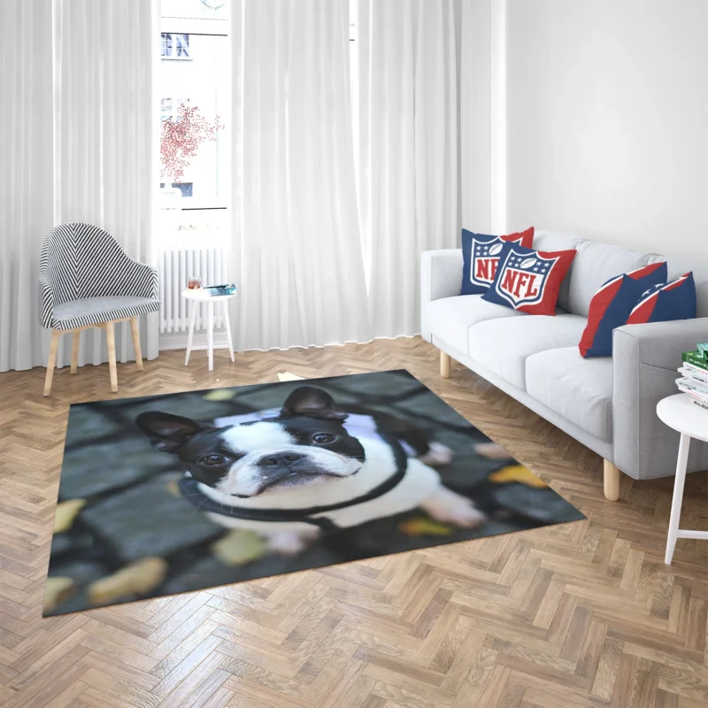 French Bulldog Wonders: Unveiling the Extraordinary Floor Rug 2