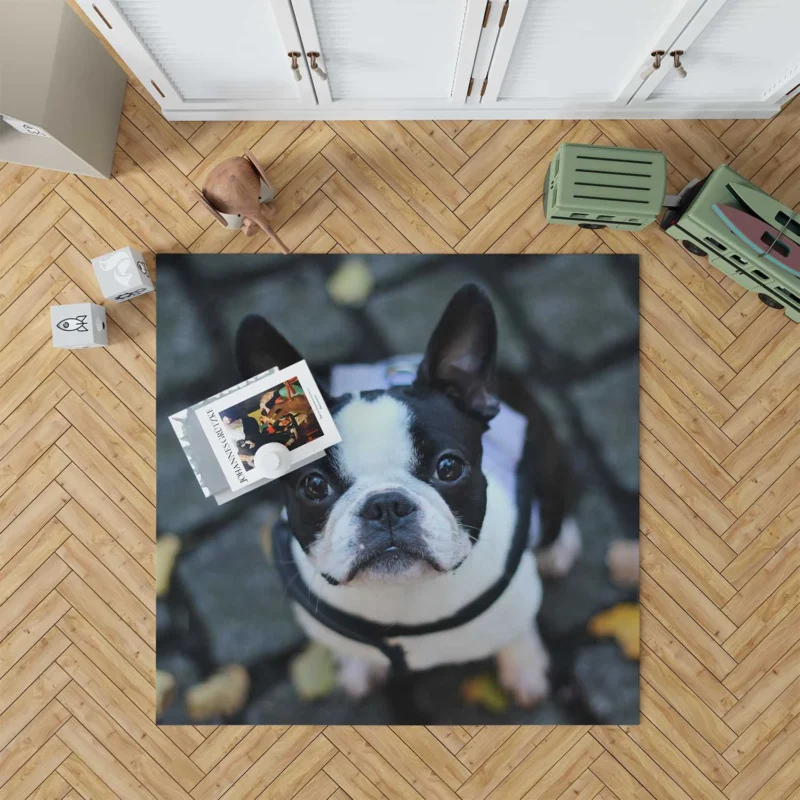 French Bulldog Wonders: Unveiling the Extraordinary Floor Rug