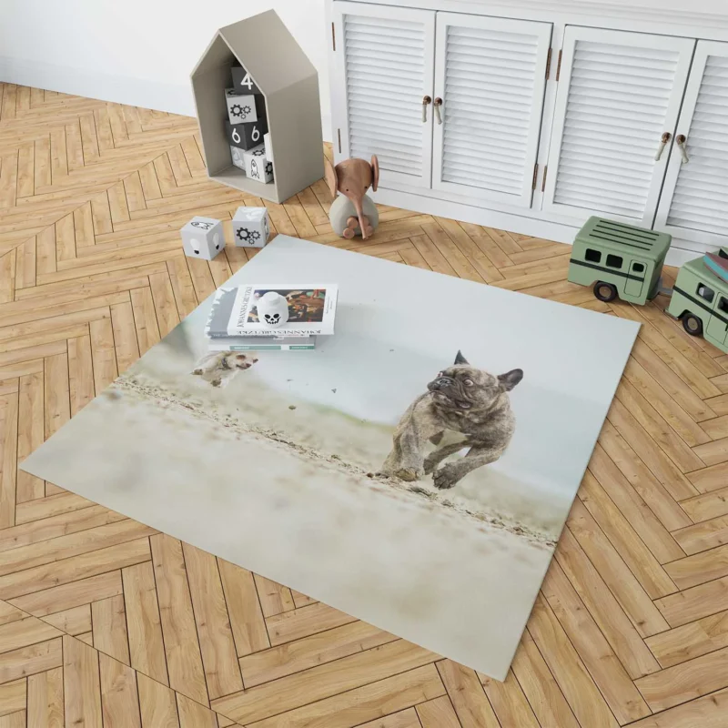 French Bulldog vs. Chihuahua: Epic Depth Of Field Floor Rug 1