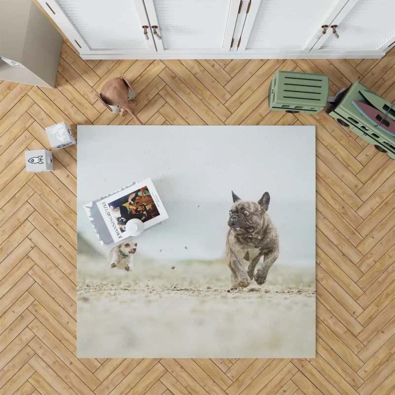 French Bulldog vs. Chihuahua: Epic Depth Of Field Floor Rug