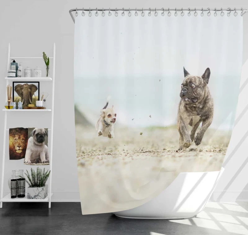 French Bulldog vs. Chihuahua: Epic Depth Of Field Shower Curtain