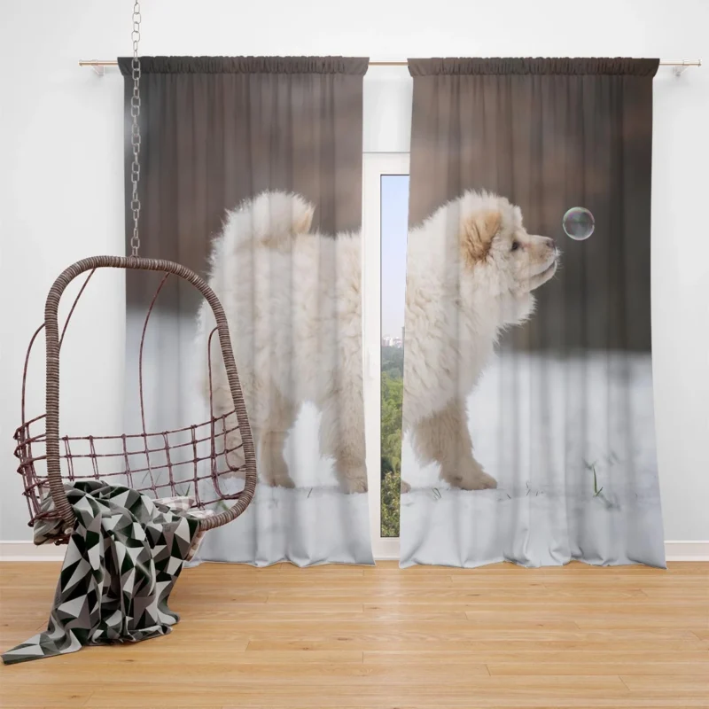 Friendly Bauble: Chow Chow Quartet Window Curtain