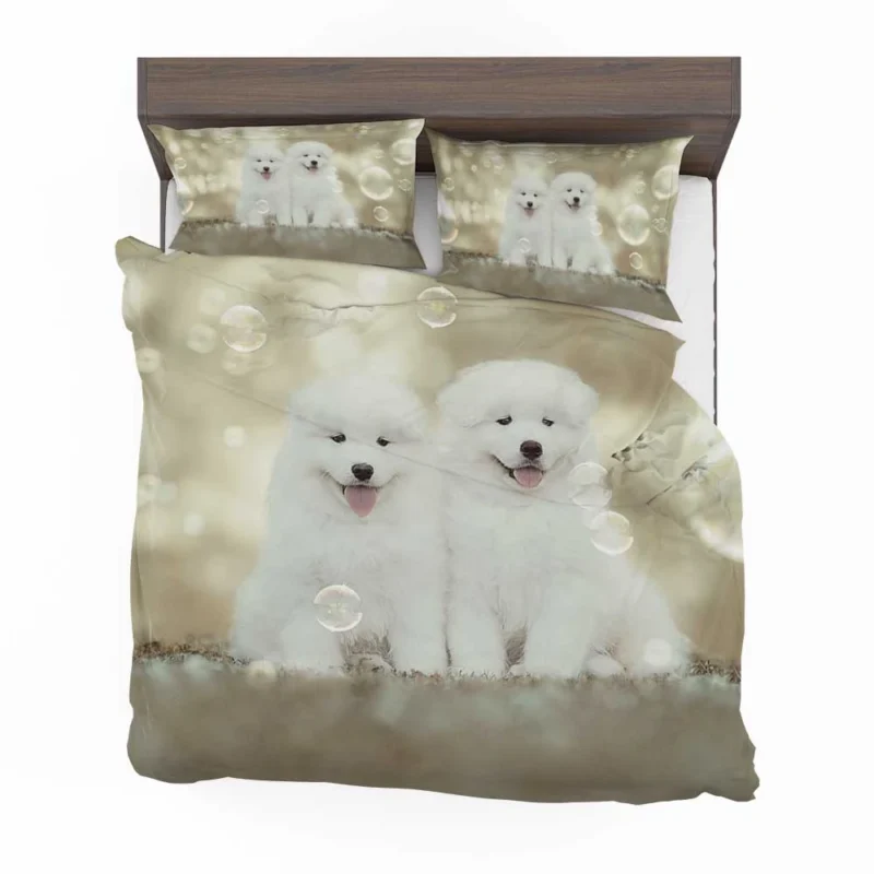 Friendly Charm: Samoyed Quartet Bedding Set 1