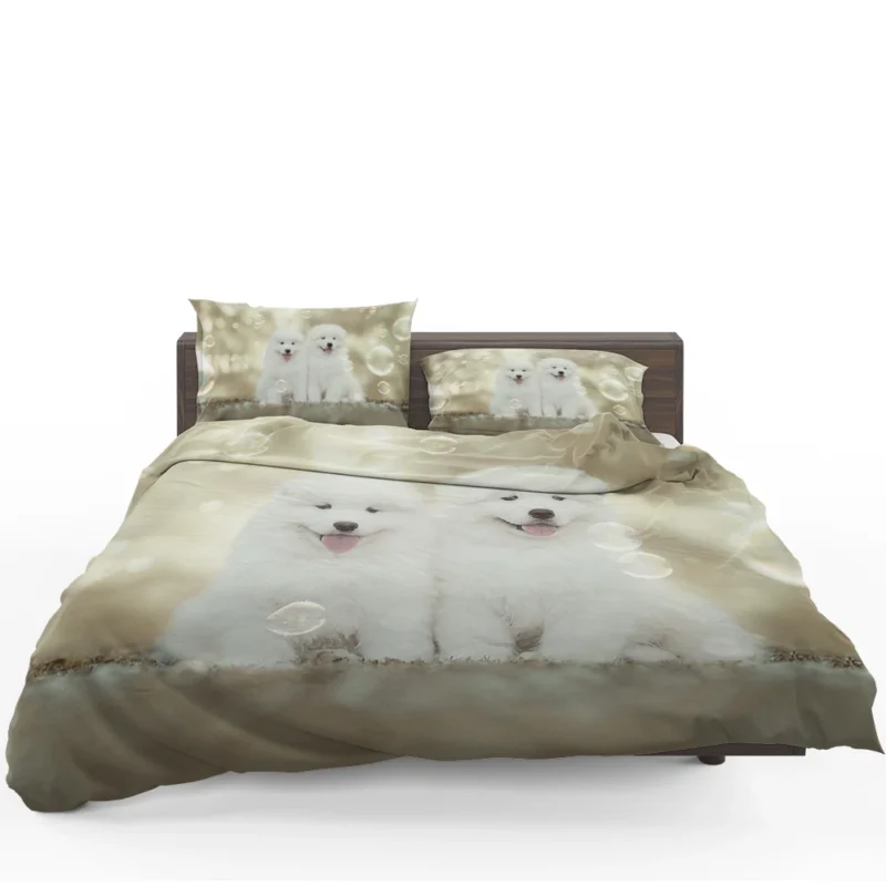 Friendly Charm: Samoyed Quartet Bedding Set