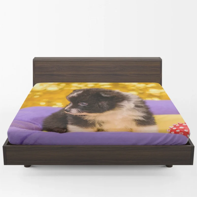 Friendly Elegance: Pomeranian Quartet Fitted Sheet 1