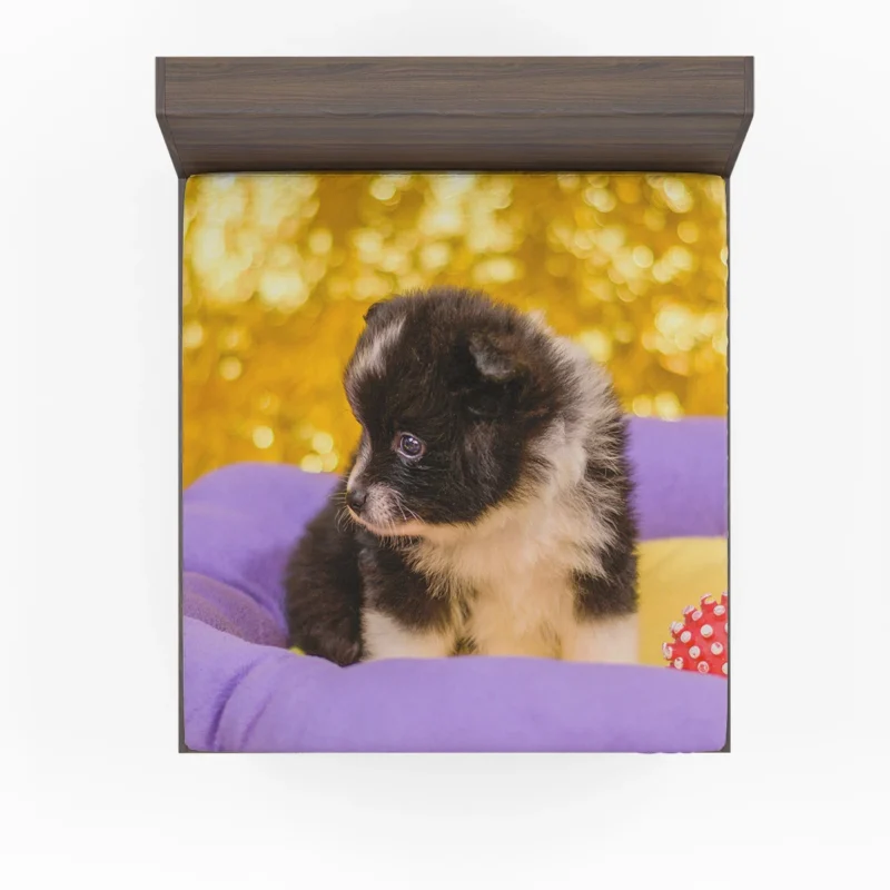 Friendly Elegance: Pomeranian Quartet Fitted Sheet