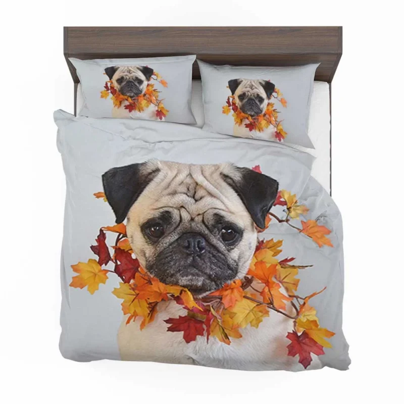 Friendly Elegance: Pug Quartet Bedding Set 1