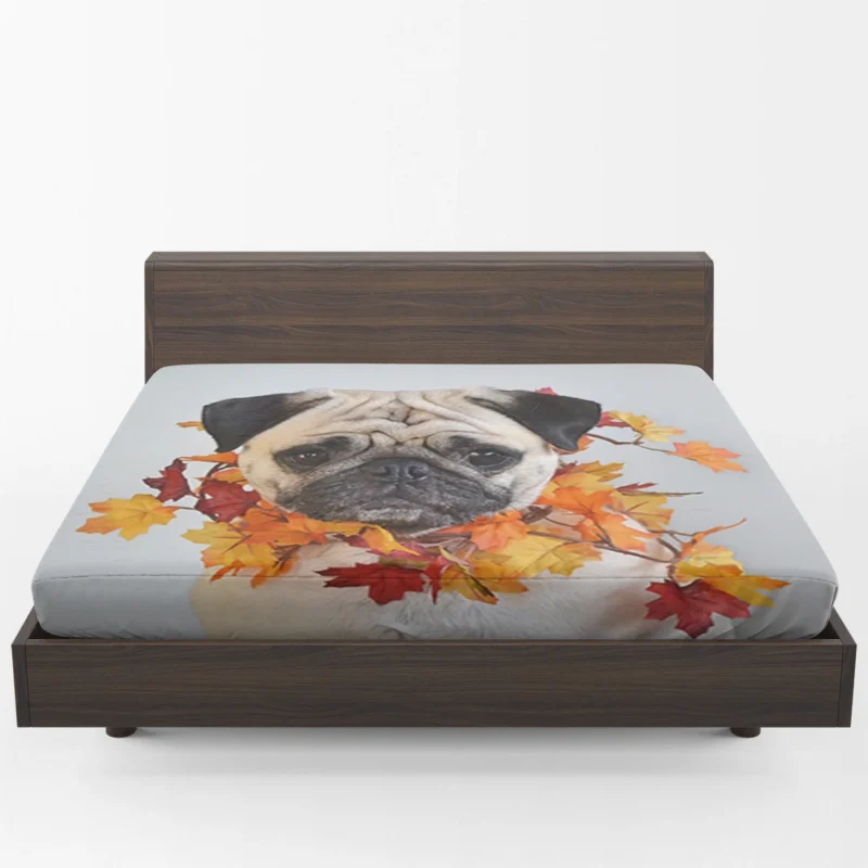 Friendly Elegance: Pug Quartet Fitted Sheet 1