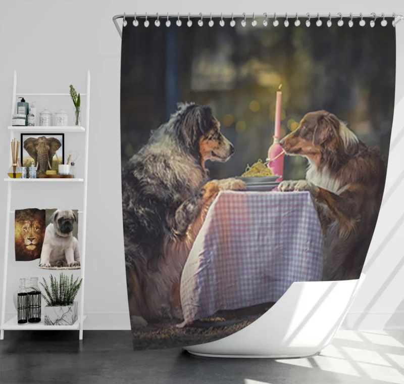 Friendly Energetic and Loyal Dogs: Australian Shepherd Shower Curtain