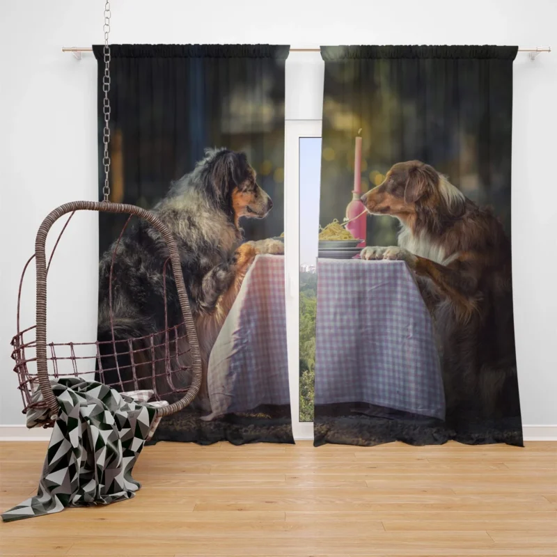 Friendly Energetic and Loyal Dogs: Australian Shepherd Window Curtain