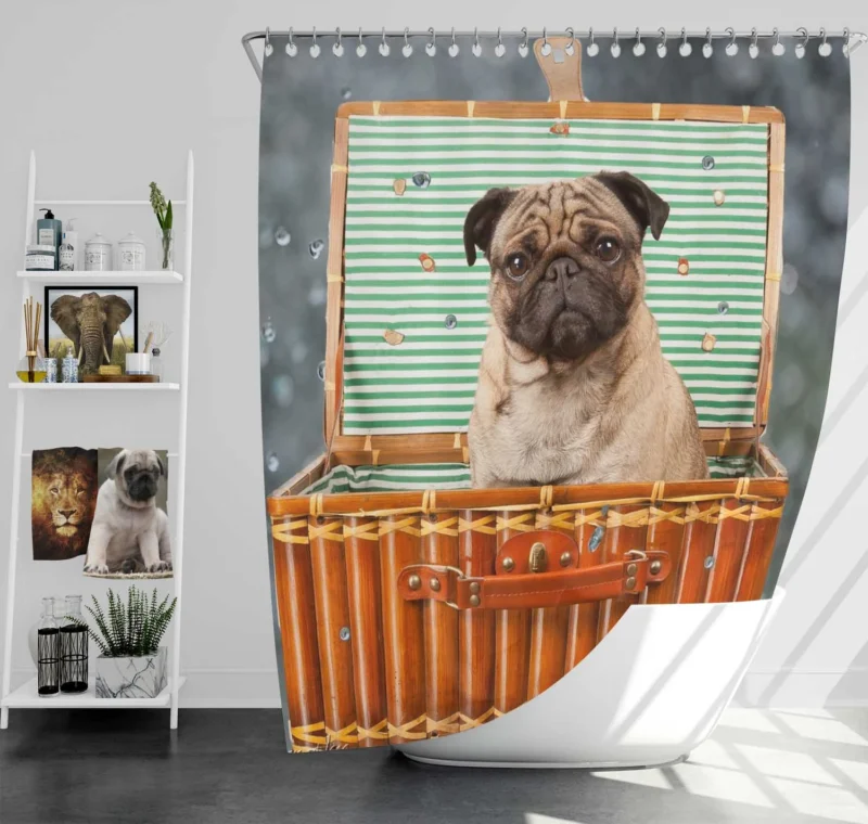 Friendly Pug Charm: Pug Quartet Shower Curtain