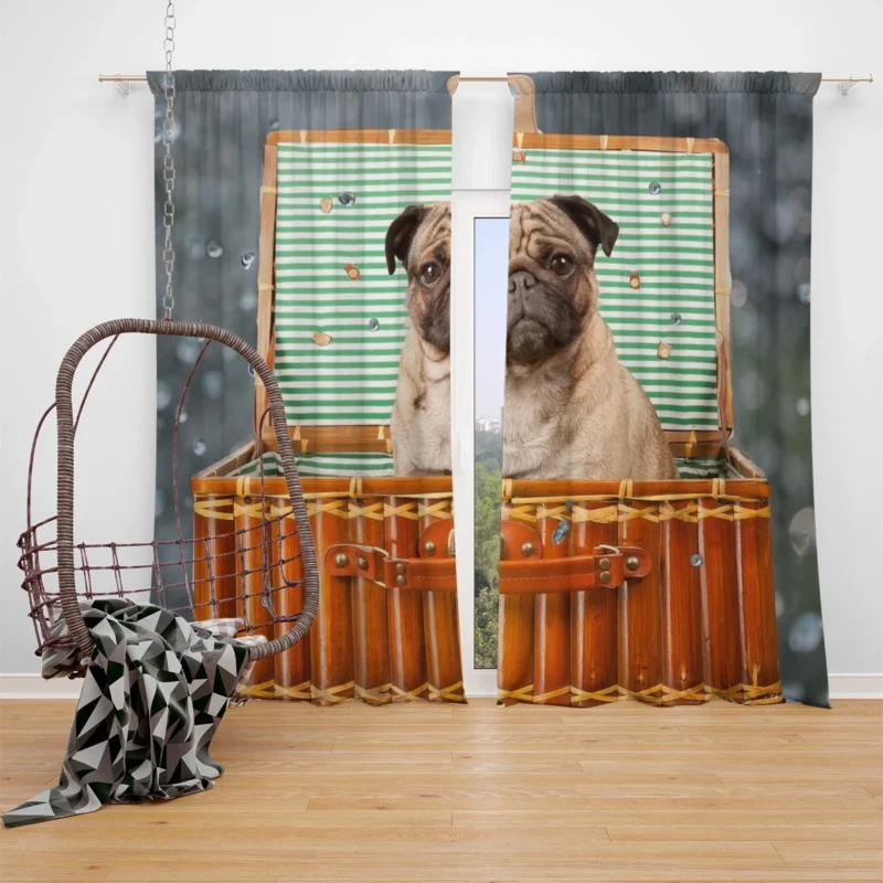 Friendly Pug Charm: Pug Quartet Window Curtain